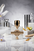 Арабски нишов парфюм отливка -Aromatix X French Avenue / Platine Blanc